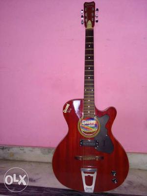 It's a givson original guitar. I will give you