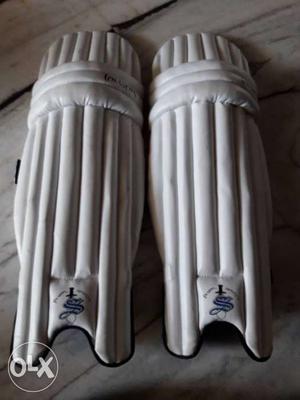 Newly cricket pads 2 months old a _one condition