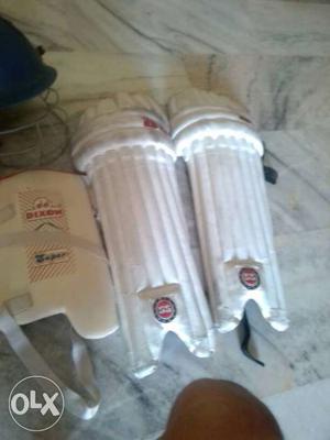 Pair Of White Cricket Batting pads bag
