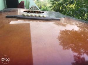 Pluto HW41C-201 Sunburst Acoustic Guitar