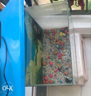 Two small home aquariums (fish tanks) for sale