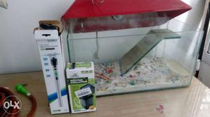 1 year old Aquarium suitable for both fishes and amphibians