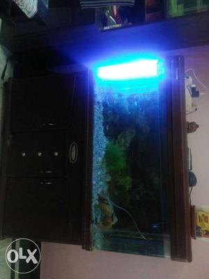 4 ft long Fish Aquarium (Single piece). Almirah