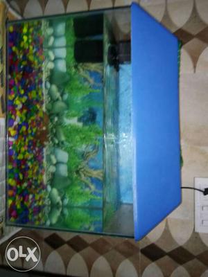 A fish tank ot aqarium with net, food,filterand