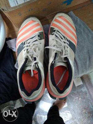 Adidas spikes in good condition