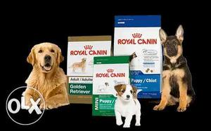 All kinds of veterinary medicine available with
