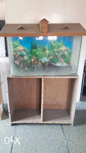 Aquarium 2×3 feet with roof and stand