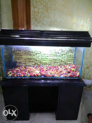 Aquarium case with wooden cover, filter and multi colored
