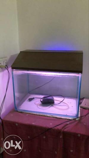 Aquarium with lamp and air pump