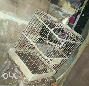 Bird cage for 100 rs