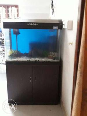 Black Framed Sobo Fish Tank