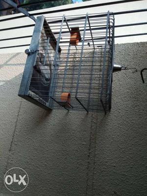Black Wire Bird Cage