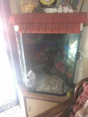 Clear Fishtang Good Condition