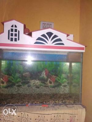 Fish tank urgent sell