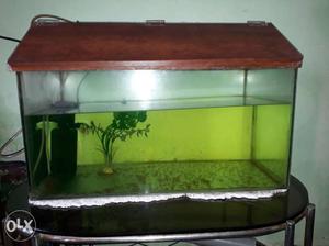 Fish tank with filter and oxygen mother