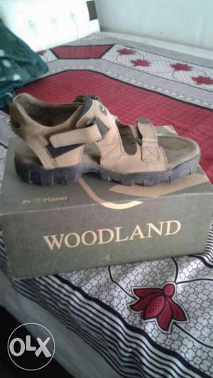 Gray Woodland Sandals On Box