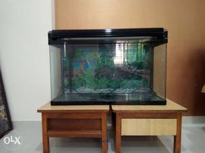 Imported Boyu Fish tank one piece (moulded) with