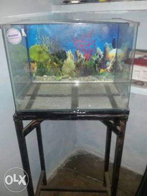 Moulded aquarium with stand