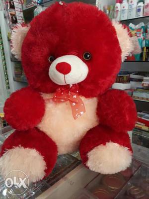 New Teddy Bear for gift
