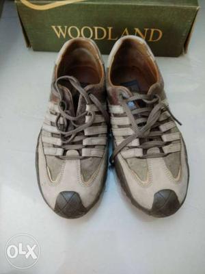 Pair Of Brown Woodland Shoes With Box