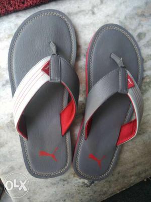Pair Of Gray-and-red Pume Leather Flipflops