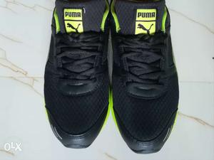 Puma original shoe not used