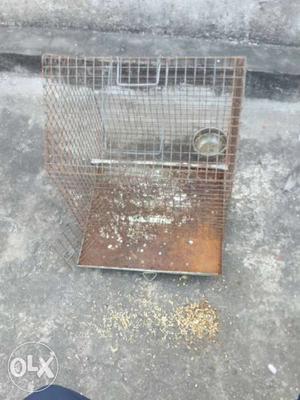 White And Brown Steel Bird Cage
