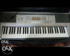 Gray And White Casio Electronic Keyboard