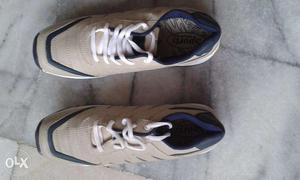 Sports Shoe Size 9
