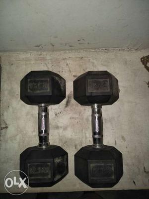 12.5 kg two dumble in New condition