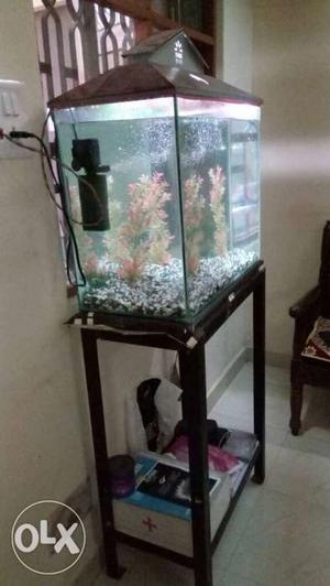 2 feet X 1 feet fish aquarium with stand