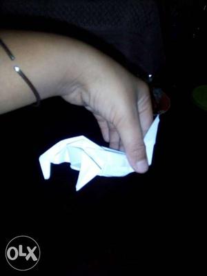 Actual price 60₹White Flying Dianosaur Origami