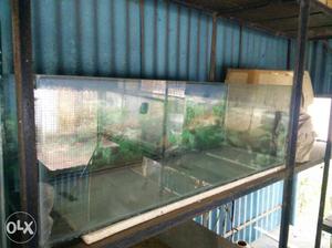 Aquarium 36inchx12inchx12inch (3x1x1)