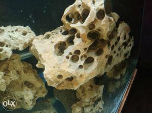 Aquarium Brown Corral Reef hollow rock
