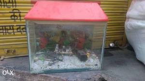 Aquarium in good condition and throw away price