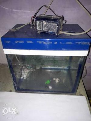 Aquarium with air blower working conditions want