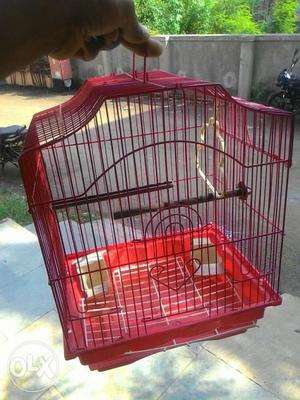Bird cage at 650rs