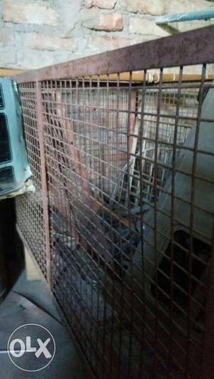 Dog Cage Sell