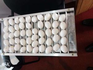Egg incubators with 1 yr replacement guaranteed