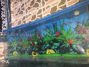 Empty fish Tank 5 month use good condition urjant