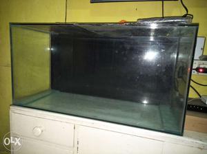 Fish tank  new fishtank