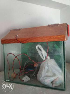 Fish tank with stones and oxygen machine