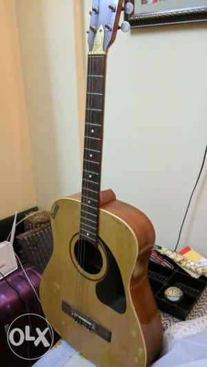 Givson Acoustic guitar for sale - without strings