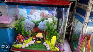 Imported aquarium with complete set