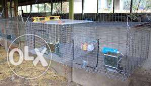 Three Gray Metal Wire Pet Cages