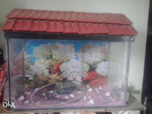 Very good condition fishtank with oxygen and