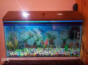 Want to purchase a more big aquarium that's why