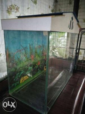 White Frame Fish Tank.
