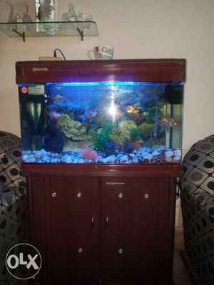 Aquarium in a very very good condition with stand one year