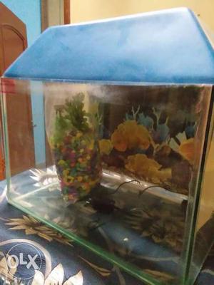 Fish aquarium unused with stones and filter